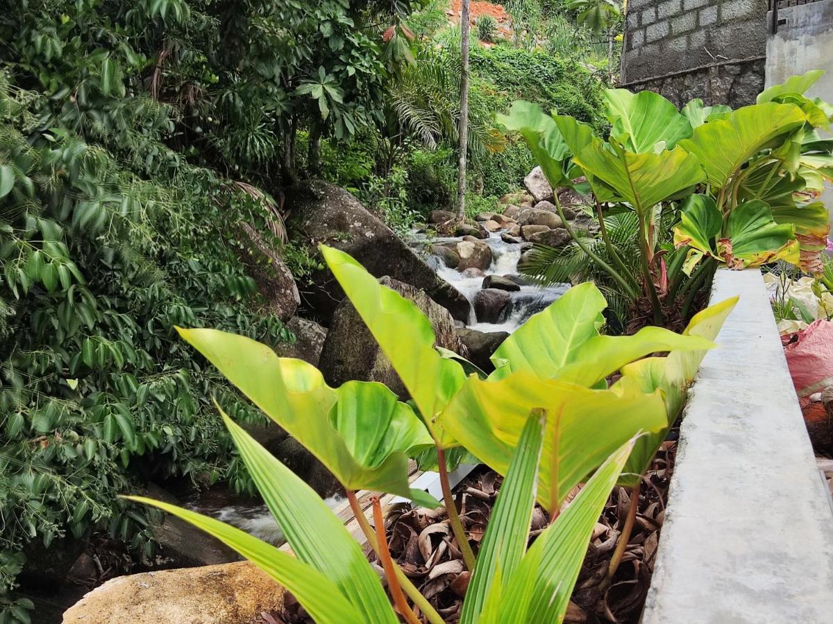 Riverside Mount Simpson Upper Beau Vallon  Exterior photo