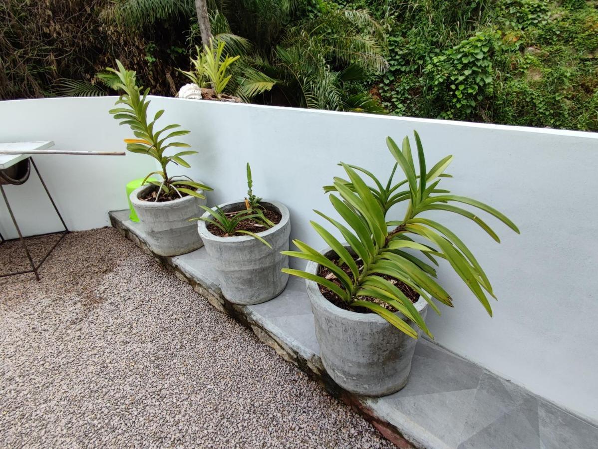 Riverside Mount Simpson Upper Beau Vallon  Exterior photo